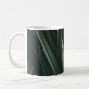 Taza De Café Foto de cierre de hojas lineales verdes