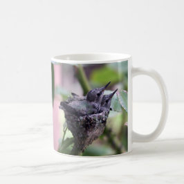 Taza De Café Foto de Cite Hummingbirds