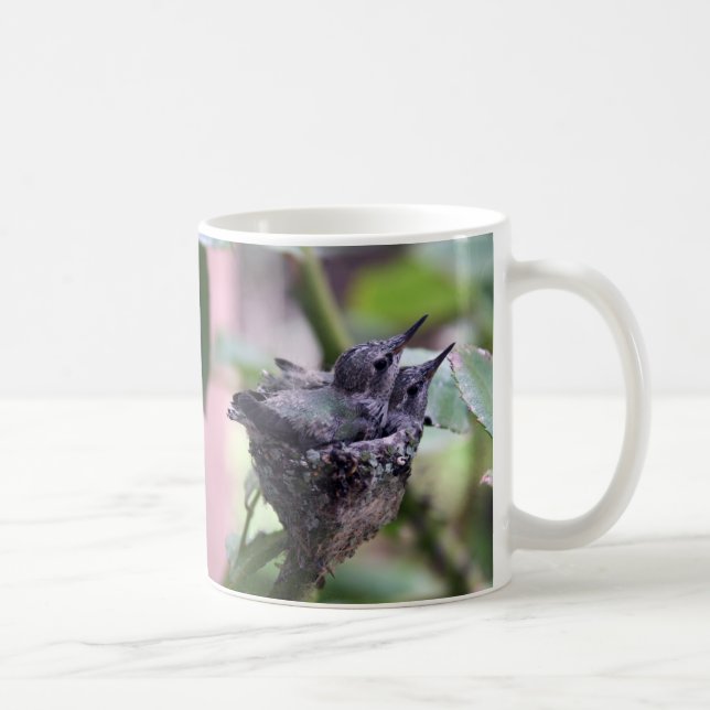 Taza De Café Foto de Cite Hummingbirds (Derecha)