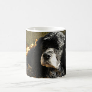 Taza De Café Foto de Cocker Spaniel blanco y negro