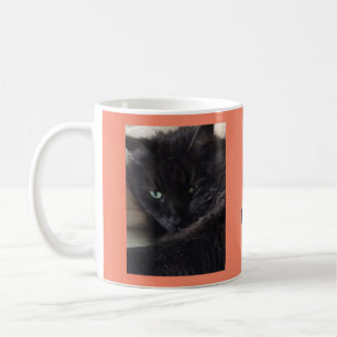 Taza De Café Foto de gato negro suave personalizada