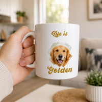 Foto de Golden Retriever La vida es dorada