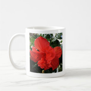Taza De Café Foto de la Biblia Naranja Doble Hibiscus Flower Ve