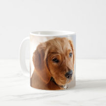Foto de Mascota Personalizada
