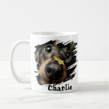 Foto de nombre de mascota personalizado Regalo de