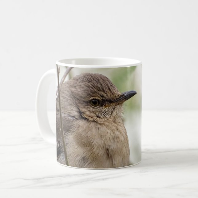 Taza De Café Foto de pájaro del retrato del pájaro de Mockingbi (Anverso izquierdo)