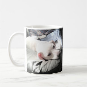 Taza De Café Foto de Perro dulce lindo colgando con papá