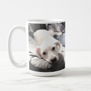 Taza De Café Foto de perro lindo sentado con el mejor amigo azu