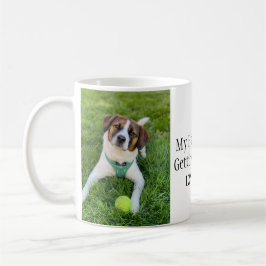 Taza De Café Foto de perro 'Mis humanos se casan'