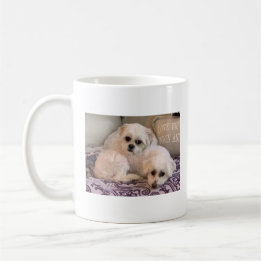 Taza De Café Foto de perros Maltese y Shih Tzu lindos