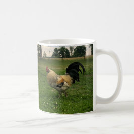 Taza De Café Foto de pollo en la granja