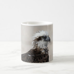 Taza De Café Foto de primer plano de una águila pescadora orien