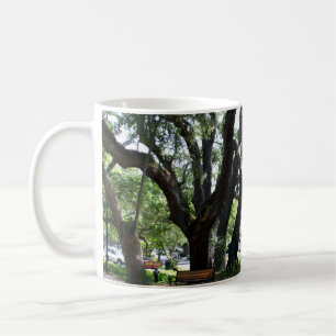 Taza De Café Foto de roble de St Simons Island GA Wandering