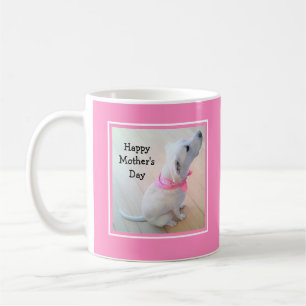 Taza De Café Foto de un perro blanco con café con bufanda rosa