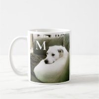 Foto de un único Personalizado de perro blanco arr