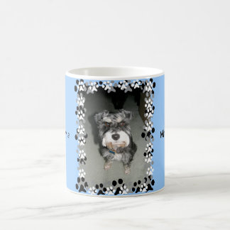 Taza De Café Foto del Schnauzer miniatura