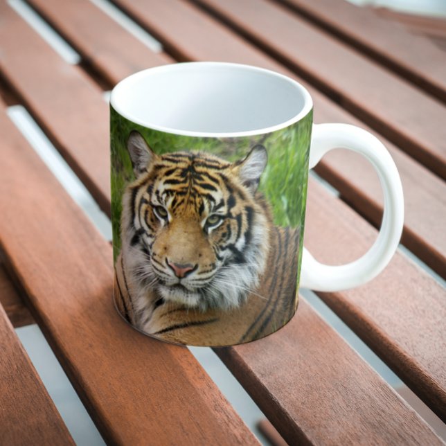 Taza De Café Foto del tigre del gato grande de Sumatra (In Situ Bench)
