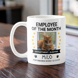Taza De Café Foto divertida de gato empleado del mes humor de o
