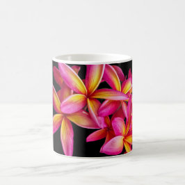 Taza De Café Foto floral de Plumeria Rosa bonito