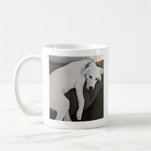 Taza De Café Foto: Perro cachorro exhausto colgando de la silla