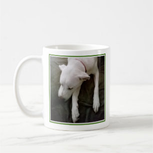 Taza De Café Foto: Perro durmiente que se vuelve verde y blanco