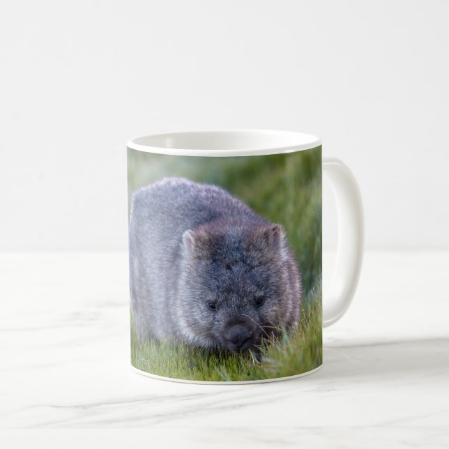Taza De Café Foto personalizada de Australia Wombat Cute (Anverso derecho)
