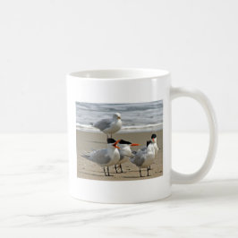 Taza De Café Foto real de las golondrinas de mar