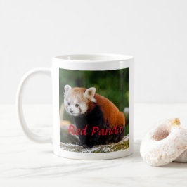 Taza De Café Fotografía Adorable de Panda Rojo