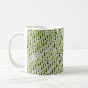 Taza De Café Fotografía aérea de cultivos de arroz durante el d