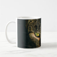 FOTOGRAFÍA CERRADA DEL GATO DE TABBY GRIS
