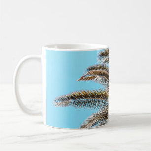 Taza De Café Fotografía de ángulo bajo de una palmera verde d