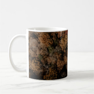 Taza De Café Fotografía de árbol vista desde arriba