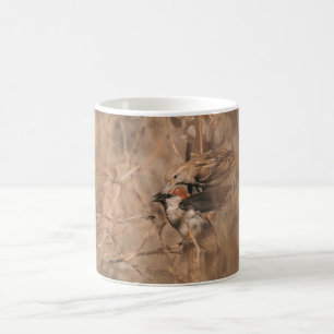 Taza De Café Fotografía de aves gorriones en primavera Fotograf