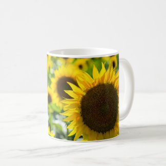 Taza de café - Fotografía de campo de girasoles