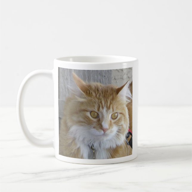 Taza De Café Fotografía De Cierre De Cute Maine Coon Kitten (Izquierda)