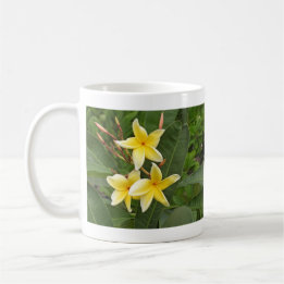 Taza De Café Fotografía de Flor Tropical Plumeria Amarilla