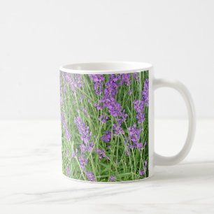 Taza De Café Fotografía de Flores de Lavanda Morada