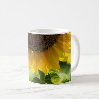 Taza de café - Fotografía de girasol en flor