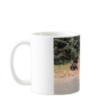 Fotografía de la madre parda, 2 cubs, río, AK