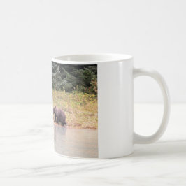 Taza De Café Fotografía de la madre parda, 2 cubs, río, AK