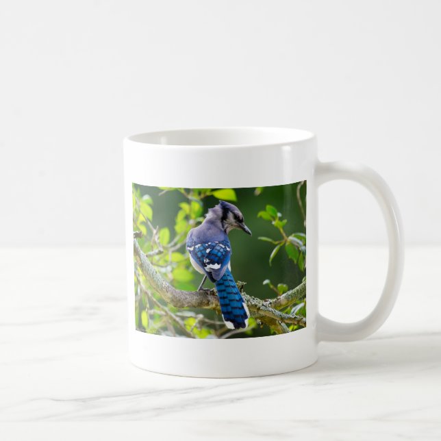 Taza De Café Fotografía de la naturaleza Regalos de Jay Shy Blu (Derecha)