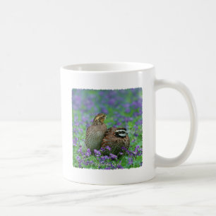 Taza De Café Fotografía de las codornices