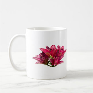 Taza De Café Fotografía de Lirio Morado