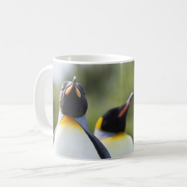 Taza De Café Fotografía de los pingüinos del rey orgulloso (Anverso izquierdo)