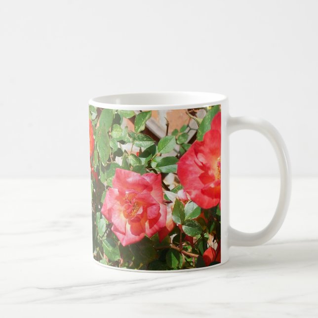 Taza De Café Fotografía de los Rosas de Bush rojo brillante (Derecha)