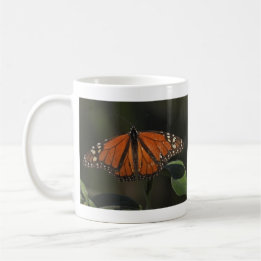 Taza De Café Fotografía de Naturaleza de Mariposa Naranja