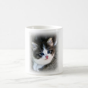 Taza De Café Fotografía de retrato de gatito SUPER CUTE