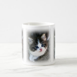 Taza De Café Fotografía de retrato de gatito SUPER LIND@