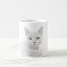 Fotografía de retrato de gatito SUPER LIND@