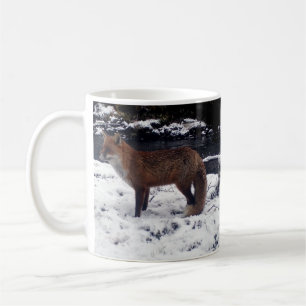 Taza De Café Fotografía de Vida Silvestre de Zorro Rojo en Invi